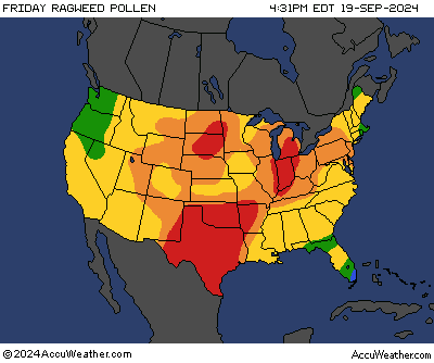 Tomorrow's United States Ragweed Pollen Index