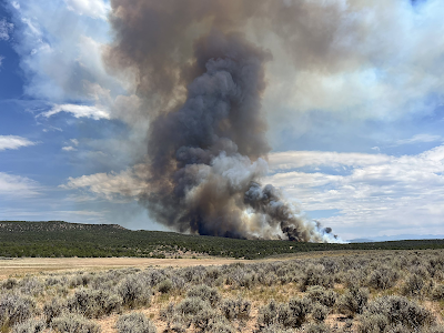 Large plume of gray smoke in an field with sage brush in the foreground, and hills in the background.