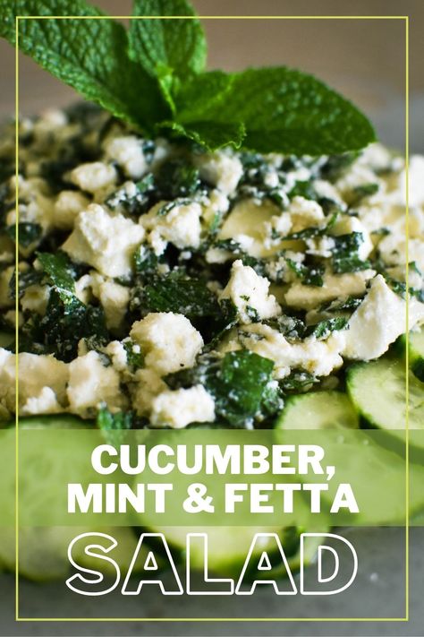 Mint Cucumber Salad, Mint Herb Recipes, Cucumber And Mint Salad, Fresh Peppermint Recipes, Salads With Mint, Recipes With Mint, Chef Salads, Salad Mint, Cucumber Mint Salad