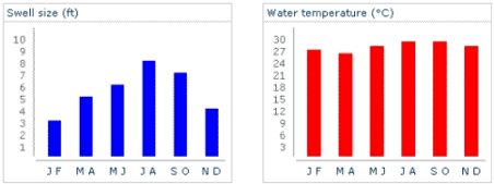 Mexico  Swell Size / Water Temperature