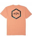 Billabong Access in Peach Shirt