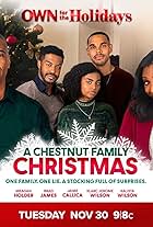 A Chestnut Family Christmas