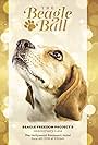 5th Annual Beagle Ball Live (2016)