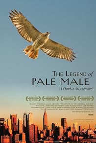 Primary photo for The Legend of Pale Male