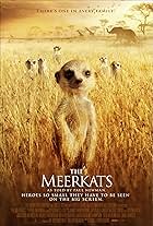 The Meerkats