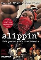 Slippin': Ten Years with the Bloods (2005)