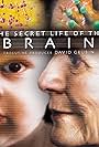 The Secret Life of the Brain (2002)