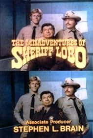 Claude Akins, Brian Kerwin, and Mills Watson in The Misadventures of Sheriff Lobo (1979)