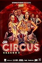 The Circus