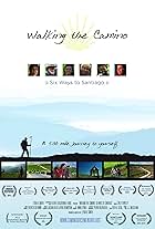 Walking the Camino: Six Ways to Santiago (2013)