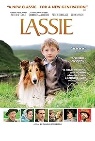 Primary photo for Lassie