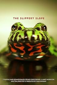 The Slippery Slope (2013)