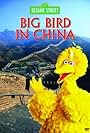 Caroll Spinney and Big Bird in Big Bird in China (1983)