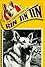 Rin Tin Tin II's primary photo