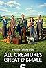 All Creatures Great & Small (TV Series 2020– ) Poster