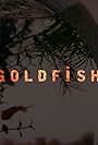 Goldfish (2015)