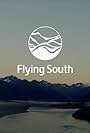 Flying South (2015)