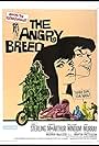 The Angry Breed (1968)