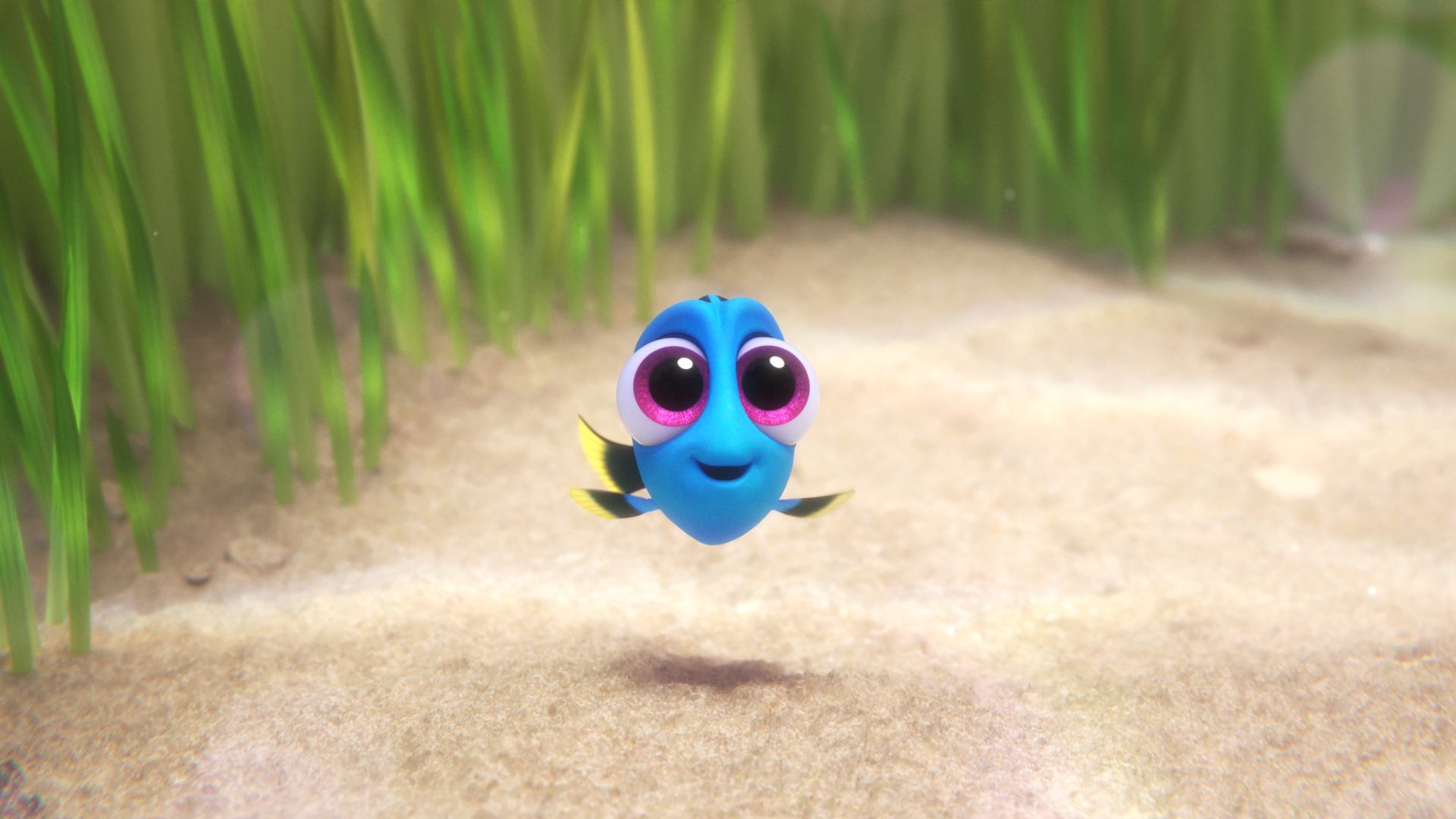 Sloane Murray in Finding Dory (2016)