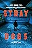 Stray Dogs (2013) Poster