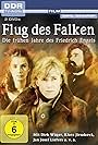 Flug des Falken (1985)