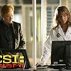 David Caruso and Eva LaRue in CSI: Miami (2002)