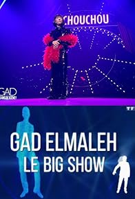 Primary photo for Gad Elmaleh: Le big show