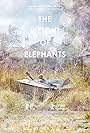 The Weight of Elephants (2013)