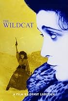 The Wildcat