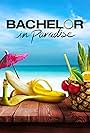 Bachelor in Paradise (2011)