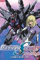 Mobile Suit Gundam SEED Destiny: TV Movie III - Flames of Destiny