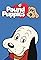 Pound Puppies's primary photo