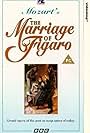 The Marriage of Figaro (1994)