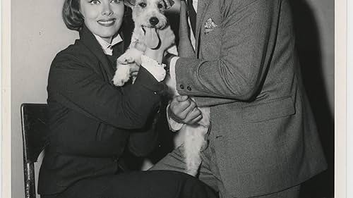 Phyllis Kirk, Peter Lawford, and Asta in The Thin Man (1957)