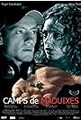 Camps de maduixes (2005)