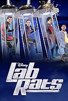 Lab Rats