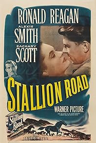 Primary photo for Stallion Road