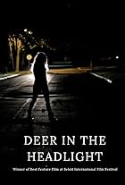 Deer in the Headlight (2015)