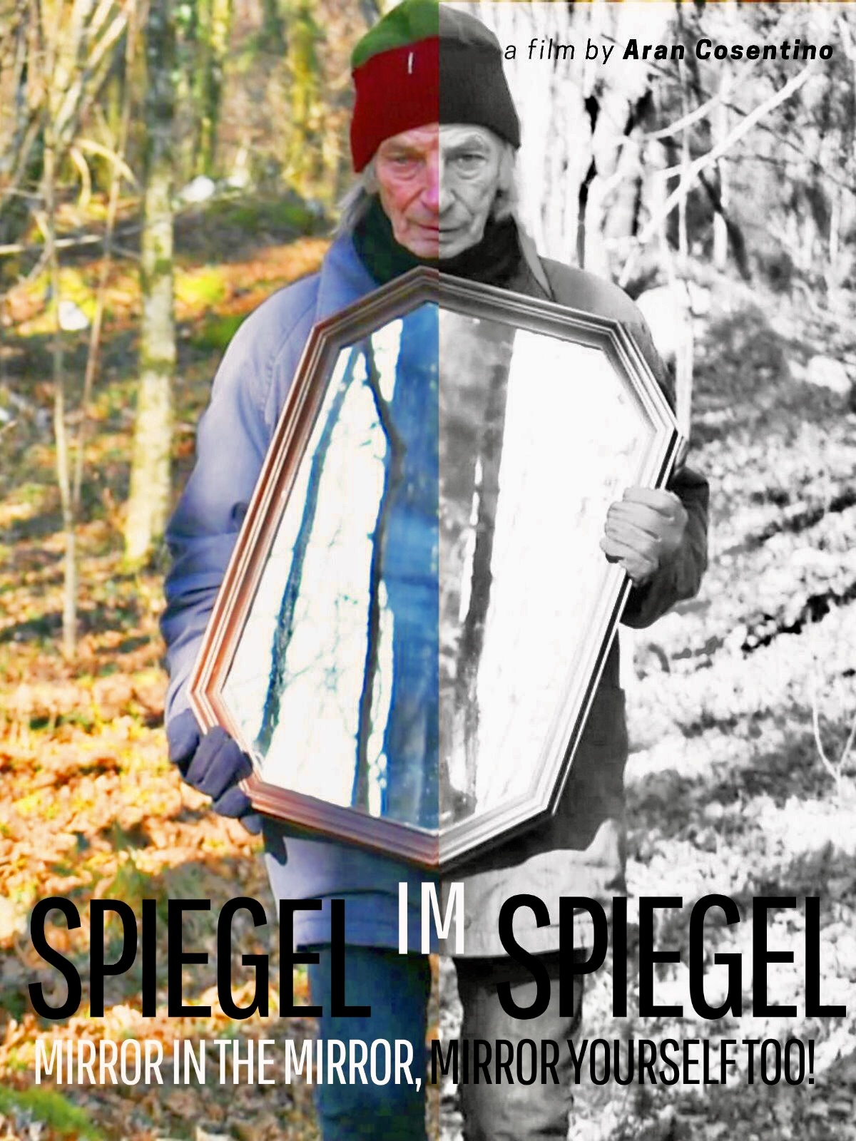 Pio Domenis in Spiegel im Spiegel (2020)