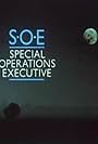 SOE (1984)