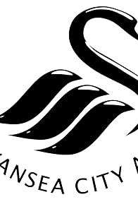 Primary photo for Swansea City A.F.C.