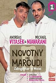 Novotny und Maroudi (2005)