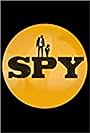 Spy (2013)