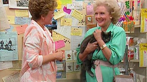 Rue McClanahan and Betty White in The Golden Girls (1985)