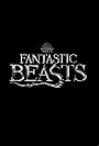 Fantastic Beasts and Where to Find Them 4