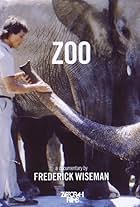 Zoo (1993)