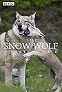 The Snow Wolf: A Winter's Tale (2018)