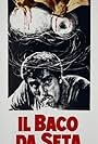 Il baco da seta (1974)