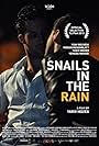 Snails in the Rain (2013)