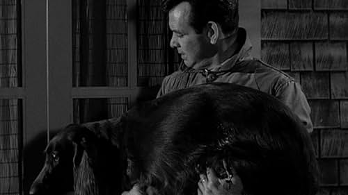 David Janssen in The Fugitive (1963)